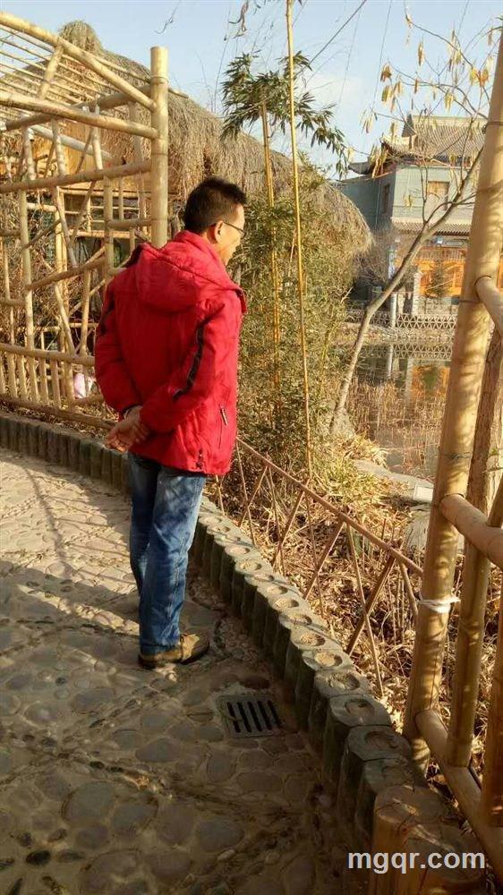 楠樱千木的头像