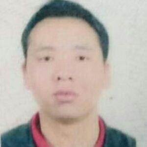 随风而去的头像