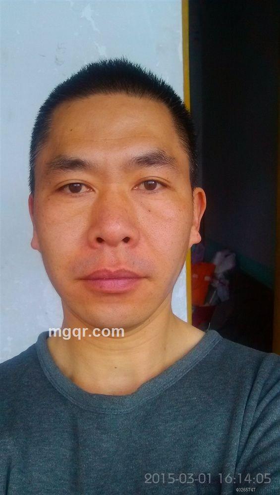 飞在天上的猪的头像