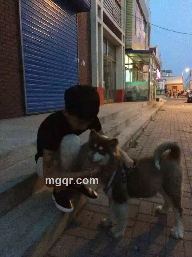 真诚的心的头像
