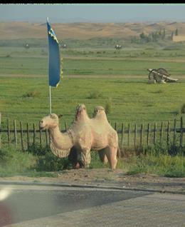 岁月如歌诗的头像