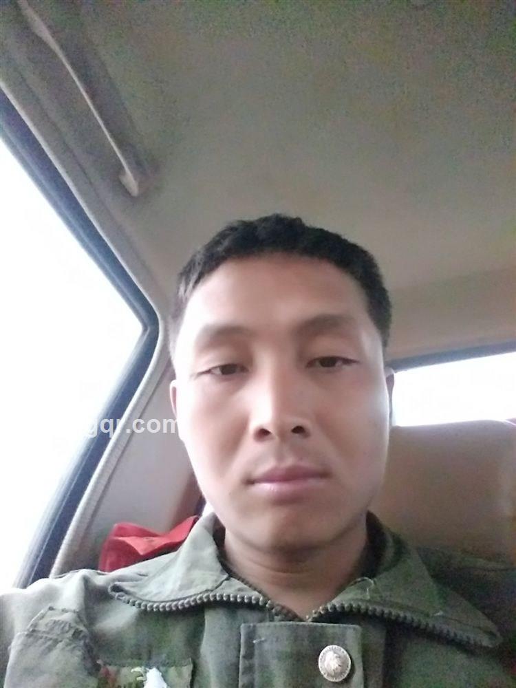 青蛙出井的头像