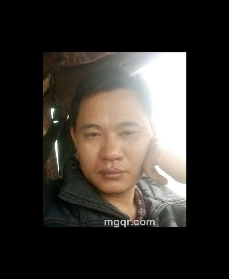 自由飞翔的头像