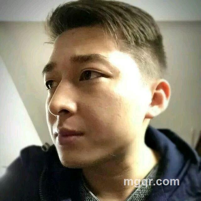 风?的狼的头像