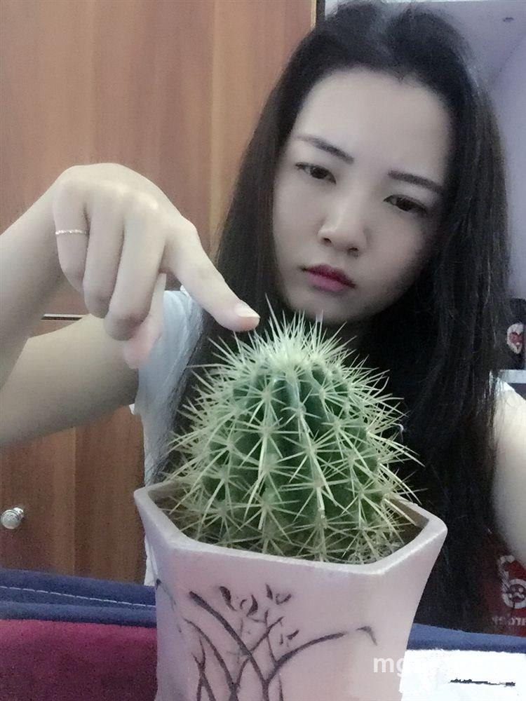 嗯哼？的头像