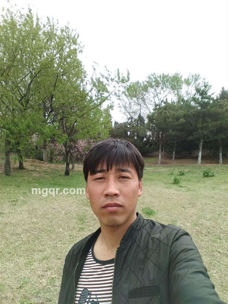 夜梦的头像