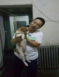 哥的诱惑的头像