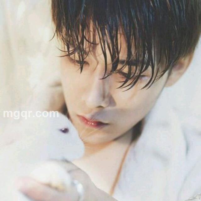 和衬与谁的头像