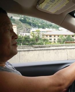 鸡蛋是树上结的