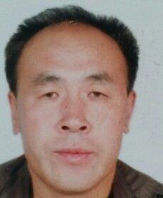 白杨的头像