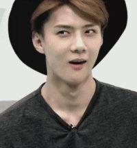 海的温柔的头像