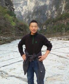 向风一样的头像