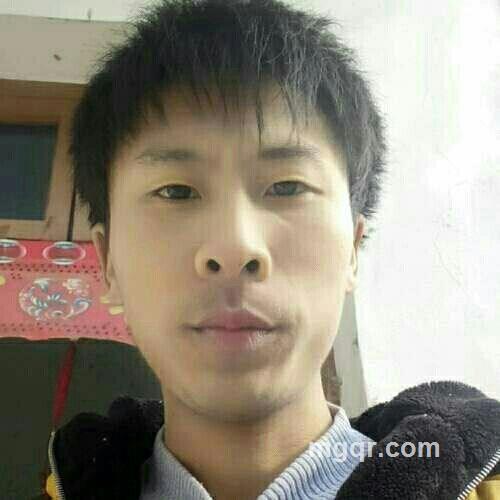 礼尚往来，的头像