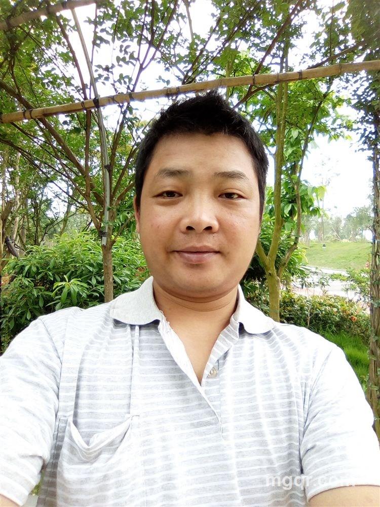 金刚不到的头像