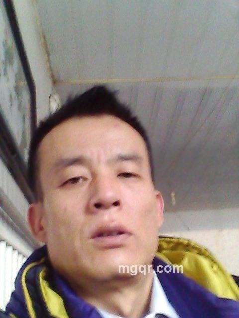孤独的狼的头像