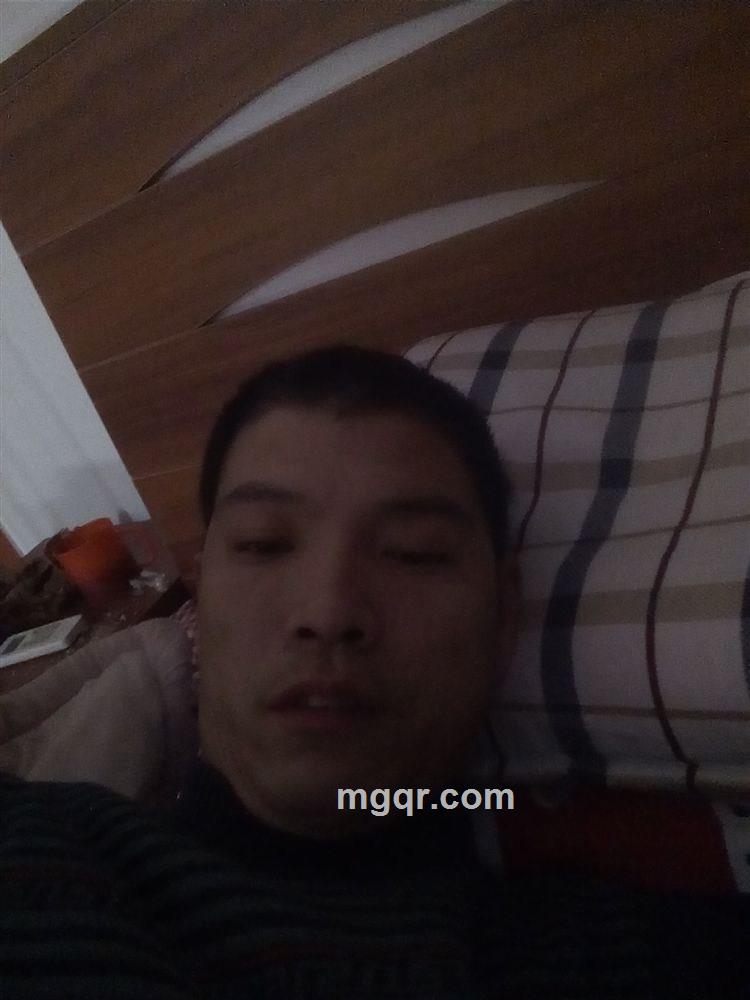 金枪不倒的头像