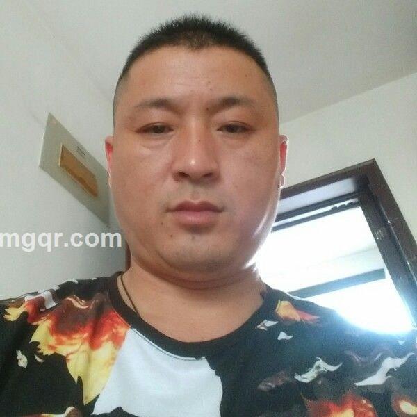 春天的风的头像