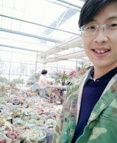 小鲁怡情的头像