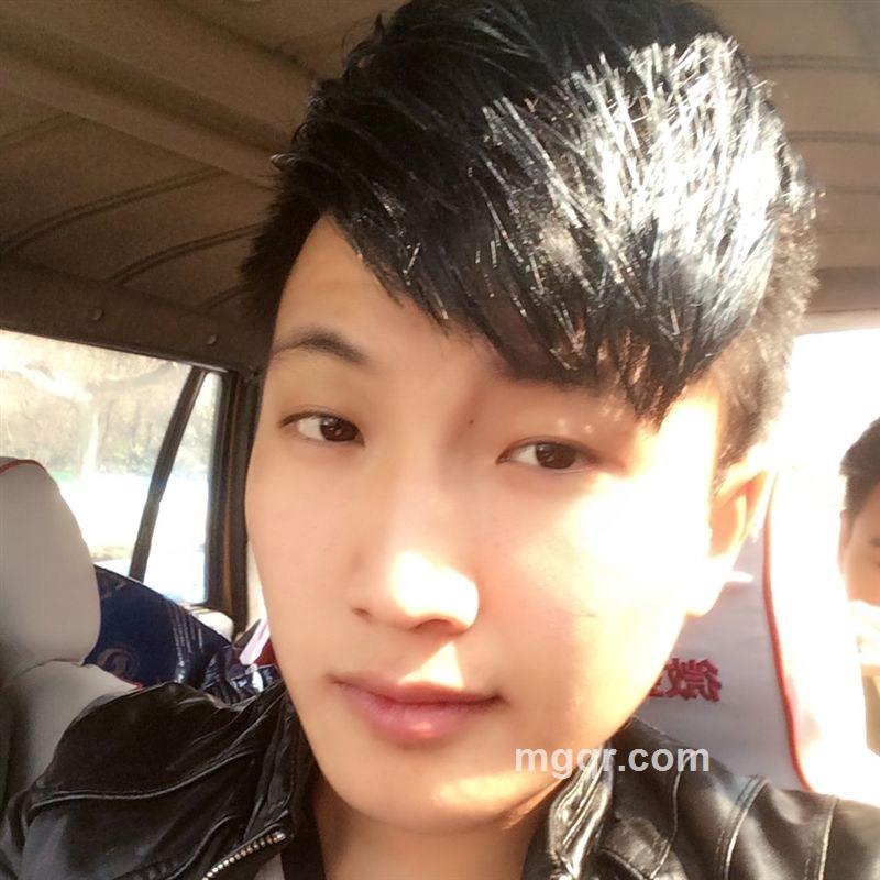 白马王子的头像