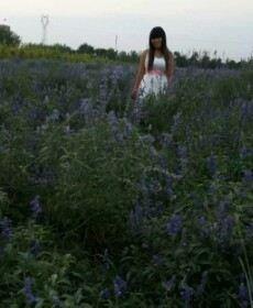 闹够了没有的头像