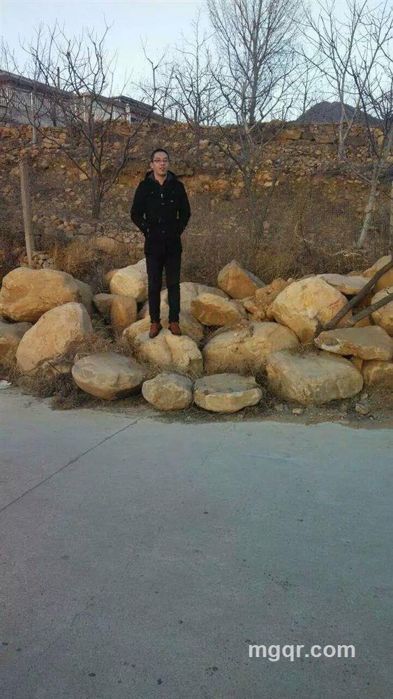 网上玫瑰的头像