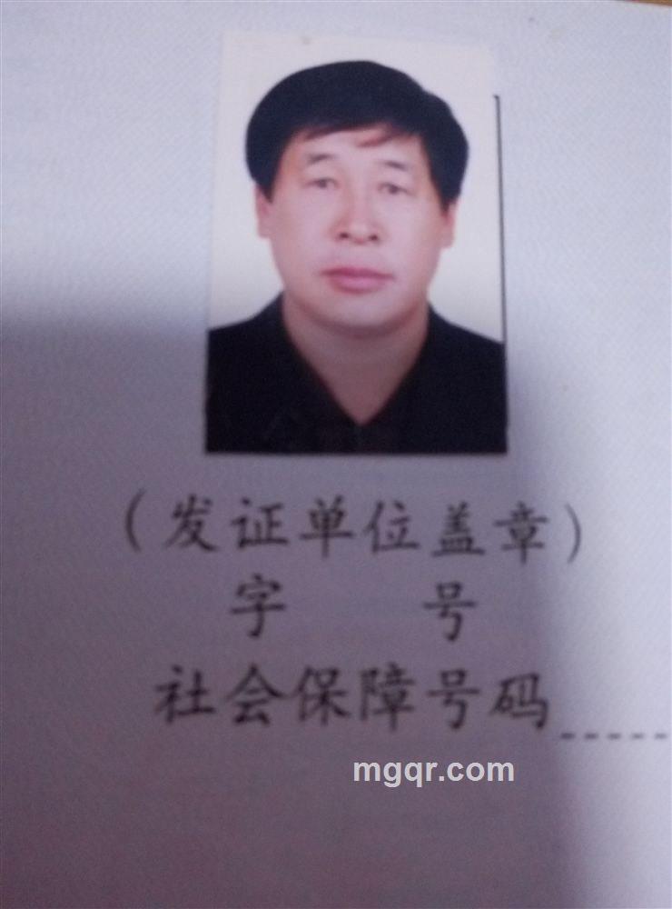 泰山松的头像