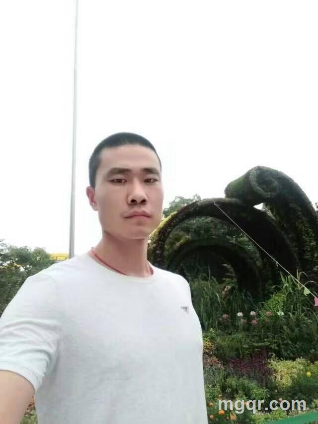 天鹅的头像