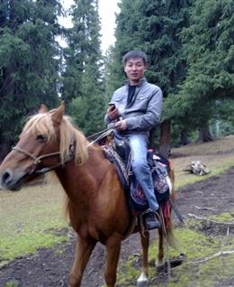 雪岭云杉的头像