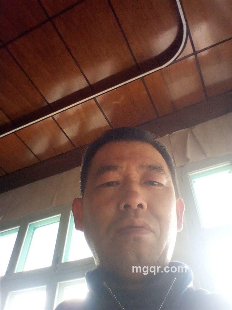 我是一只小小小小鸟的头像