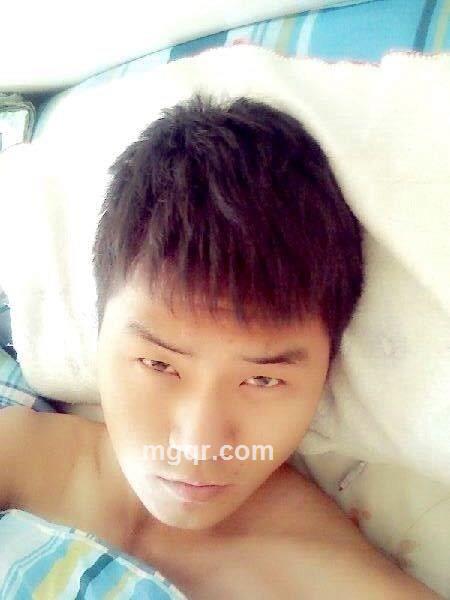 哈士奇不会汪汪叫的头像