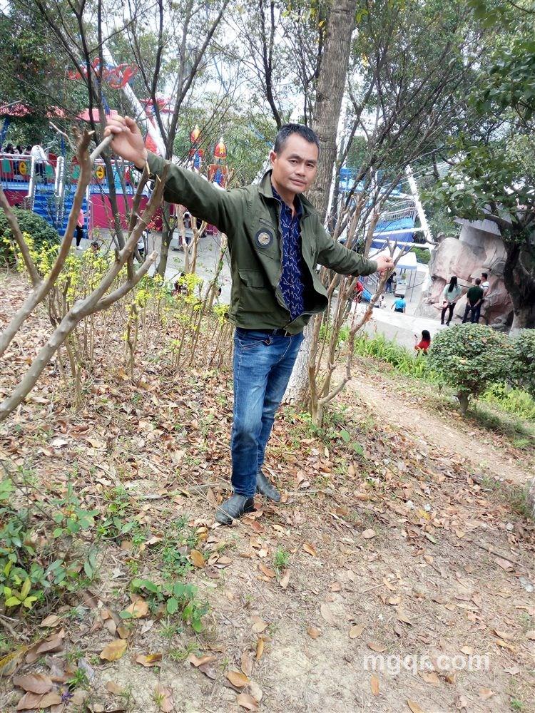 西伯亚狼的头像