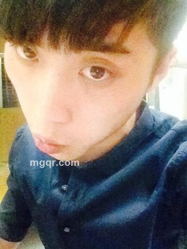 围墙上的猫的头像