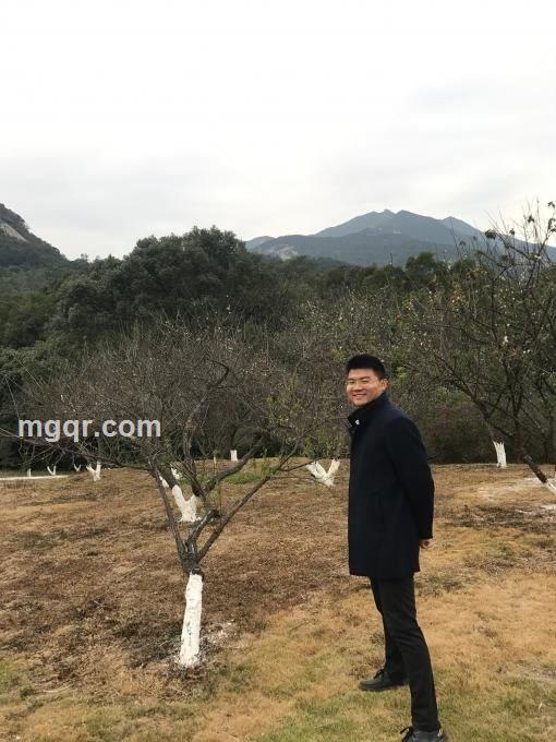 简单的爱意的头像