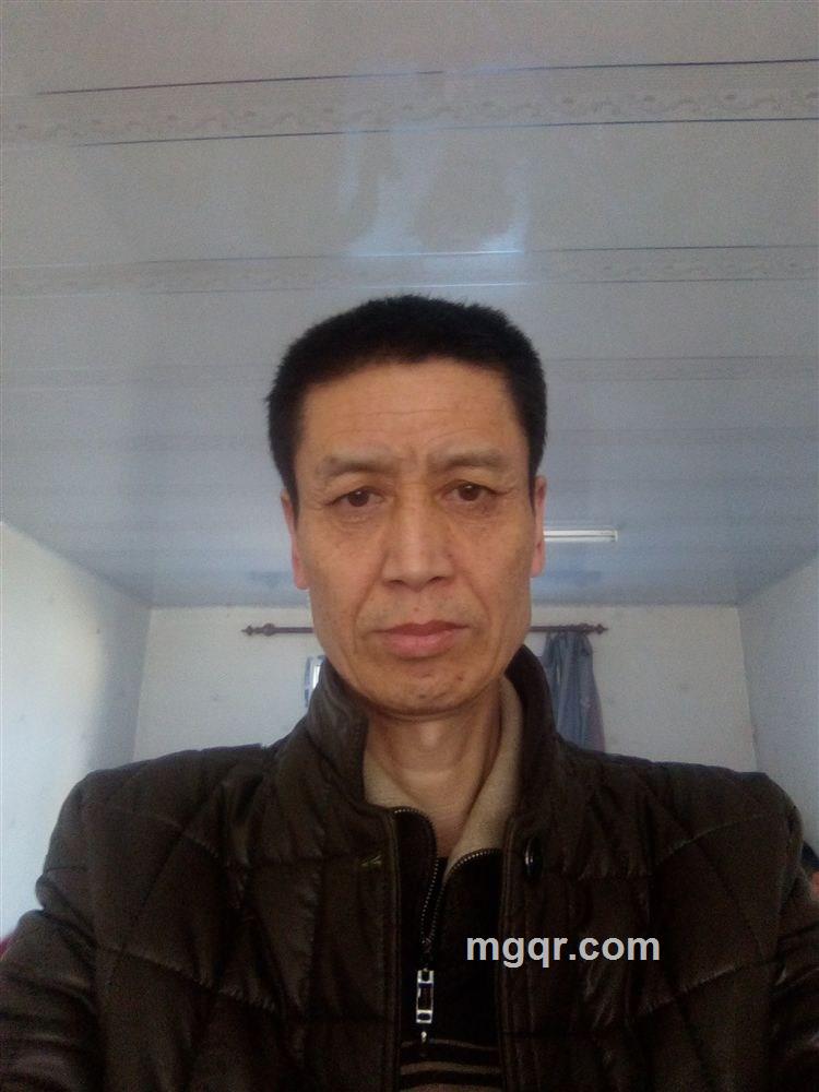 北方狼的头像