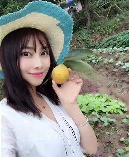 内心的跳跳糖的头像