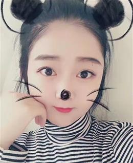  小小蘑菇的头像