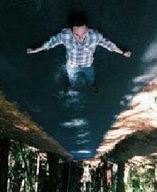 且听风吟的头像