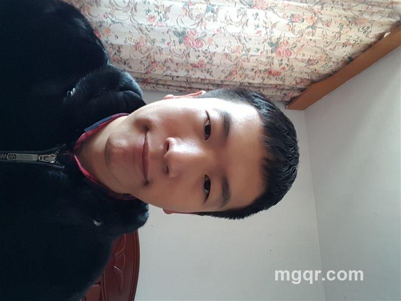 寻觅的头像