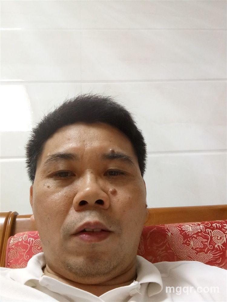 偷腥猫