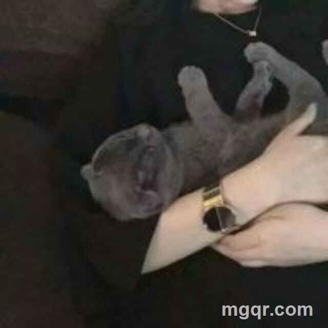 爱笑的我的头像