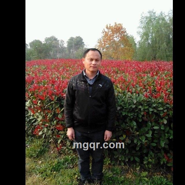 元阳宝殿的头像