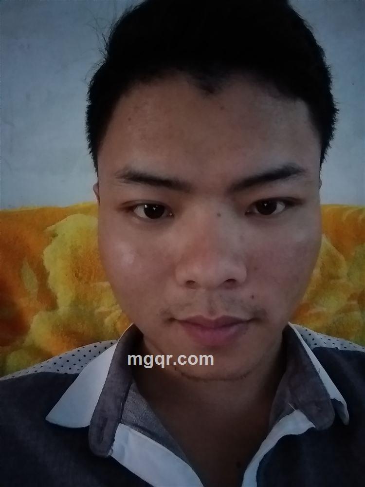 迷恋那一林枫叶
