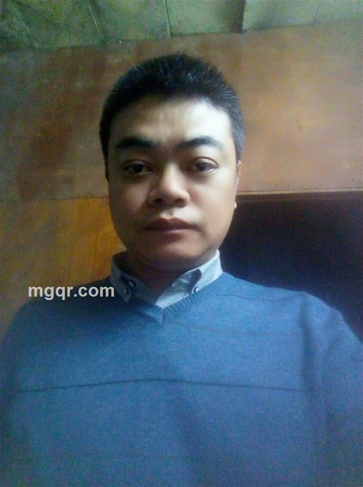 寻找幸福的猪的头像