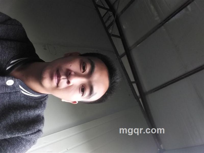 擎天一柱的头像