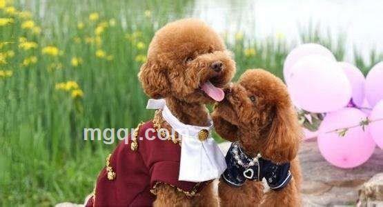 默默期待的头像