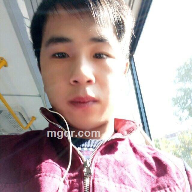 爱海洋的猫的头像