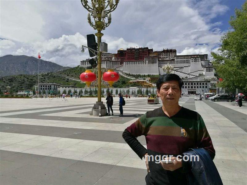 天马行空的头像