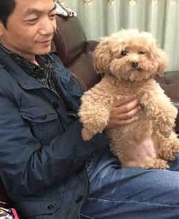 哈哈咿呀的头像