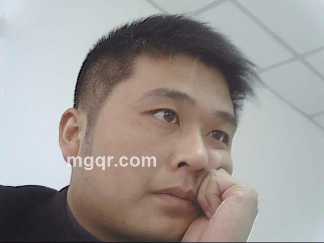 孤独的中原狼的头像