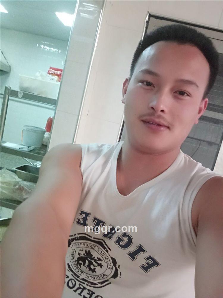 杨洋的头像